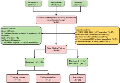 Whole slide image-based weakly supervised deep learning for predicting major pathological response in non-small cell lung cancer following neoadjuvant chemoimmunotherapy: a multicenter, retrospective, cohort study